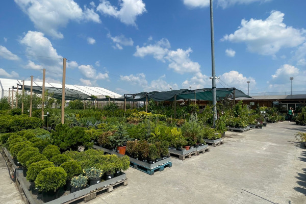 Продаж садового центру Gradina Mea у Молдові