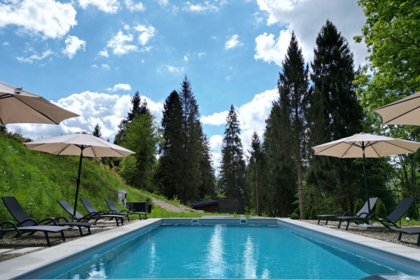 Продажа горного комплекса отдыха с действующим арендным бизнесом в Карпатах