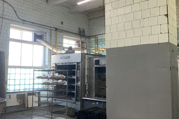 Property Complex of 1,540 m² with 0.25 ha Land Plot in Zolochiv, Lviv Region for Sale 