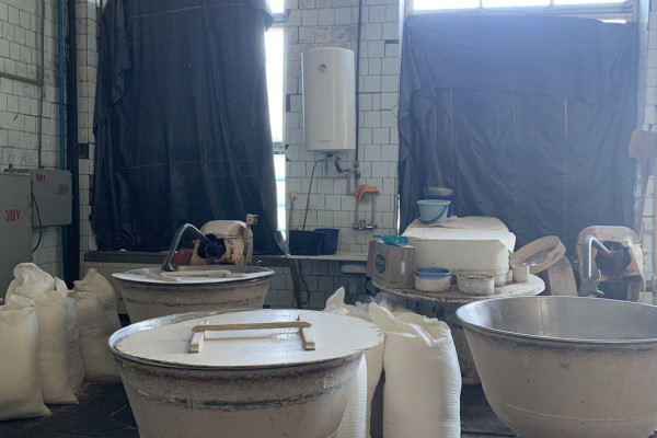 Property Complex of 1,540 m² with 0.25 ha Land Plot in Zolochiv, Lviv Region for Sale 