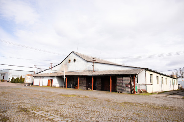 Продаж виробництва фруктових та овочевих соків на Закарпатті