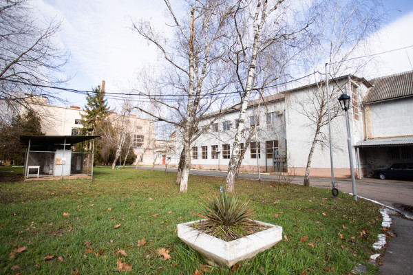 Продаж виробництва фруктових та овочевих соків на Закарпатті