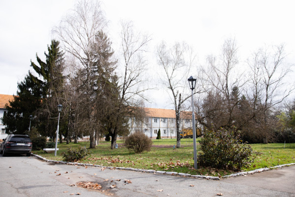 Продаж виробництва фруктових та овочевих соків на Закарпатті