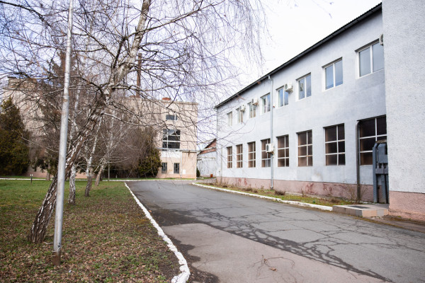 Продаж виробництва фруктових та овочевих соків на Закарпатті