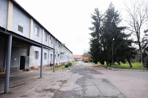 Продаж виробництва фруктових та овочевих соків на Закарпатті