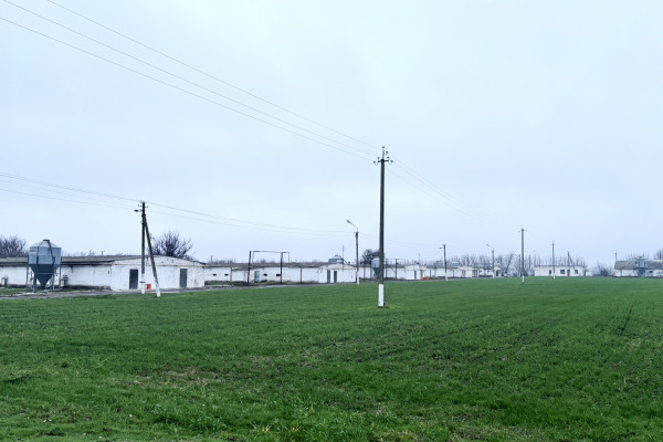 Продаж діючого птахокомплексу у Черкаській області