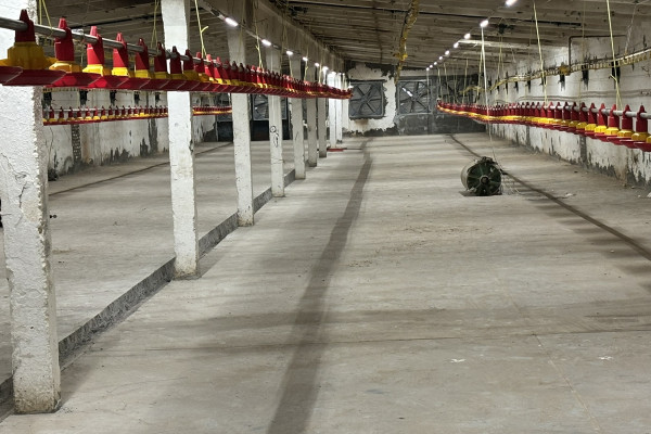 Продаж діючого птахокомплексу у Черкаській області