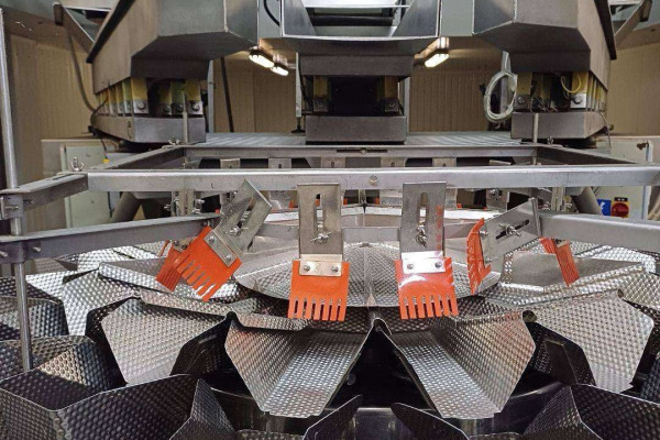 Frozen Vegetable Processing Plant for Sale – Kalisz, Poland