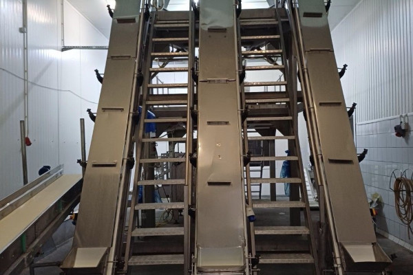 Frozen Vegetable Processing Plant for Sale – Kalisz, Poland