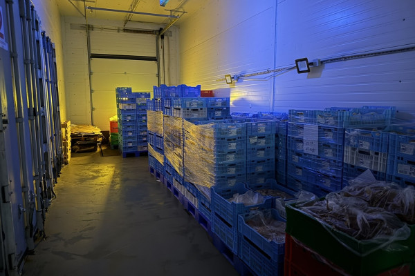 Продажа действующего производства снеков в Киевской области