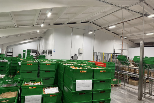 Продажа действующего производства снеков в Киевской области