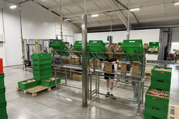 Продажа действующего производства снеков в Киевской области