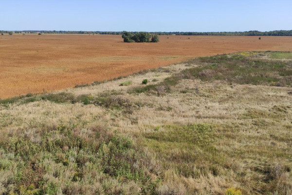 Продажа действующего комплекса по производству муки (55 тонн в сутки) в Киевской области