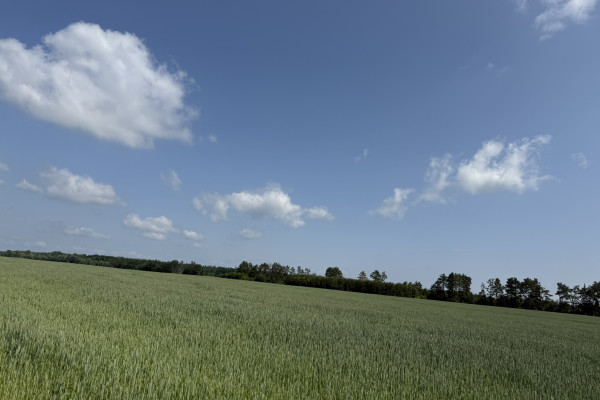 Продаж ділянки 122 га з фасадом на трасу E40 в 20 км від Києва