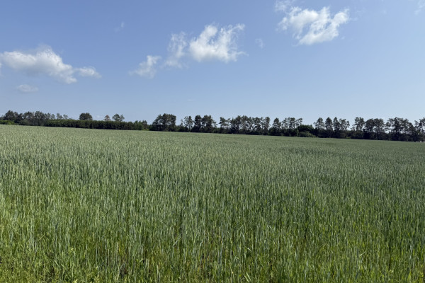 Продаж ділянки 122 га з фасадом на трасу E40 в 20 км від Києва