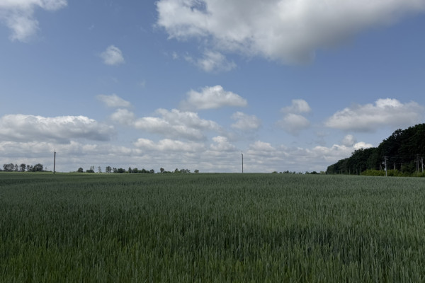 Продаж ділянки 122 га з фасадом на трасу E40 в 20 км від Києва