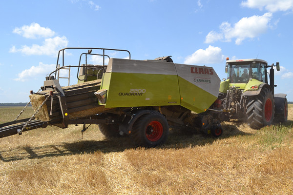 Продаж виробництва паливних і кормових пелет 55 000 тонн на рік у Вінницькій області