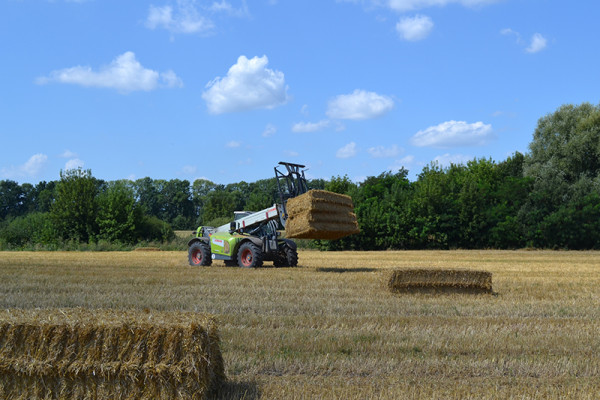 Продаж виробництва паливних і кормових пелет 55 000 тонн на рік у Вінницькій області