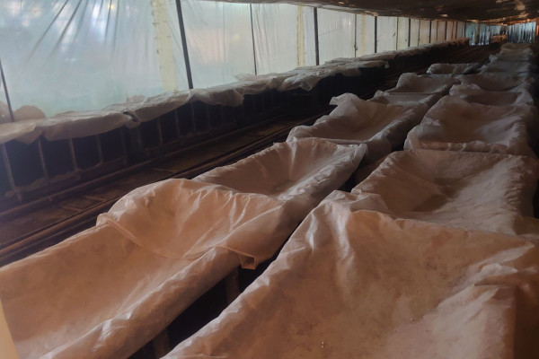 Foam Plastic and Polystyrene Concrete Block Production Facility in Kyiv for Sale