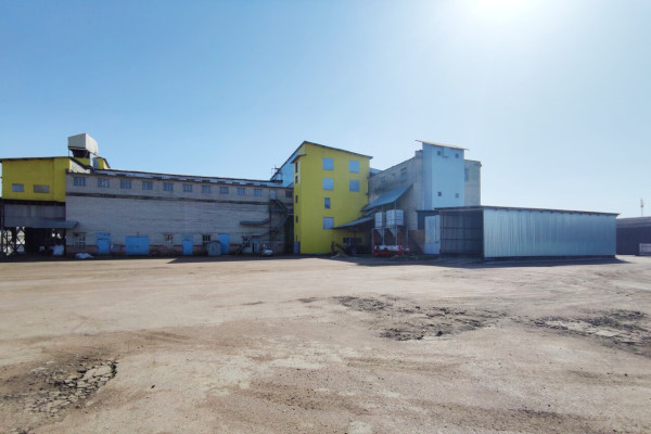 Продажа элеватора и нового мельничного завода 130 тонн в сутки в Черниговской области