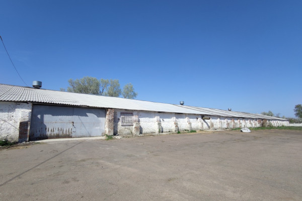 Продажа элеватора и нового мельничного завода 130 тонн в сутки в Черниговской области