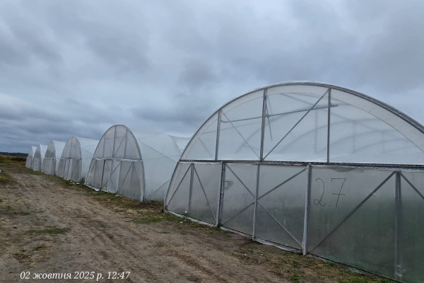 Продажа тепличного комплекса из 32 теплиц (16 000 м²) в Киевской области