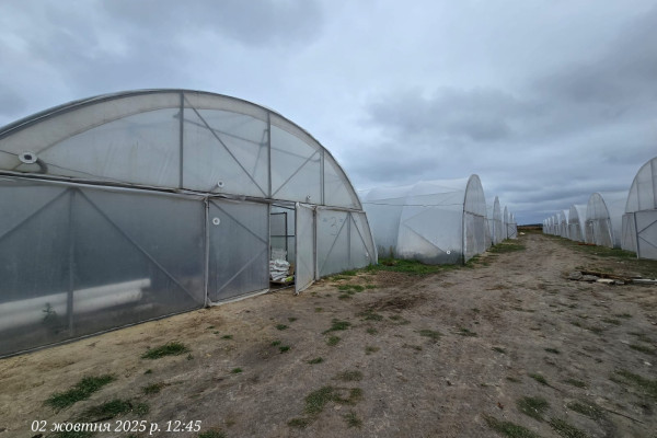 Продажа тепличного комплекса из 32 теплиц (16 000 м²) в Киевской области