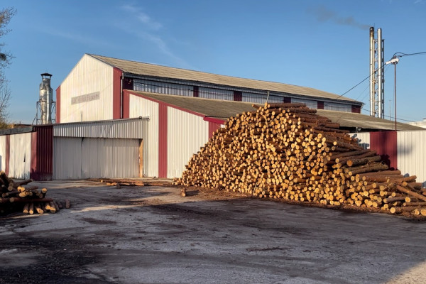 Operating Woodworking Enterprise in Volyn Region for Sale