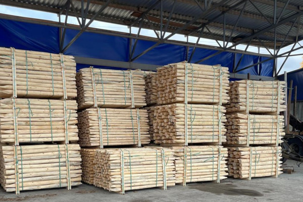 Operating Woodworking Enterprise in Volyn Region for Sale