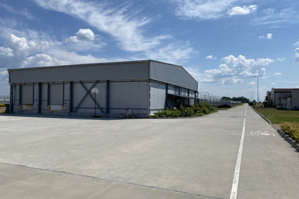 90 ha Strawberry Greenhouse Complex in the Kyiv Region for Sale