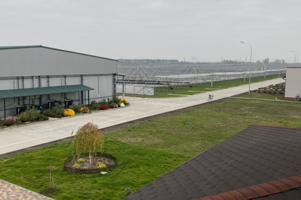 90 ha Strawberry Greenhouse Complex in the Kyiv Region for Sale