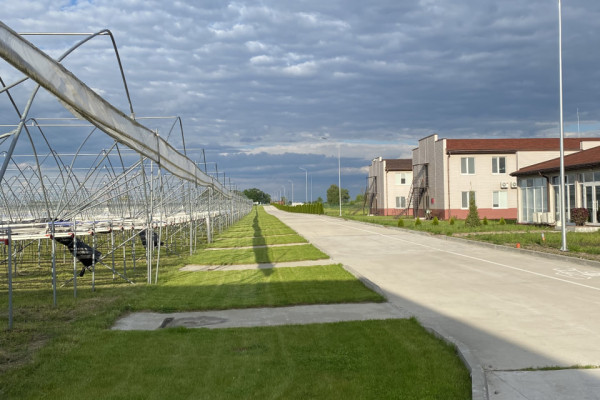 90 ha Strawberry Greenhouse Complex in the Kyiv Region for Sale