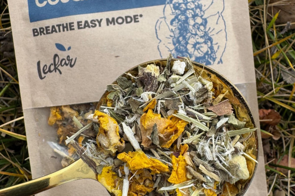 Інвестиції в чайний бізнес на ринку США