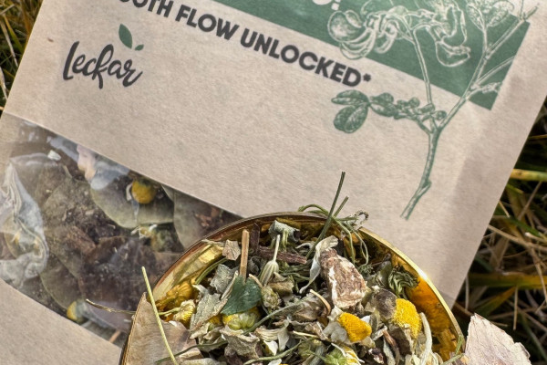 Інвестиції в чайний бізнес на ринку США