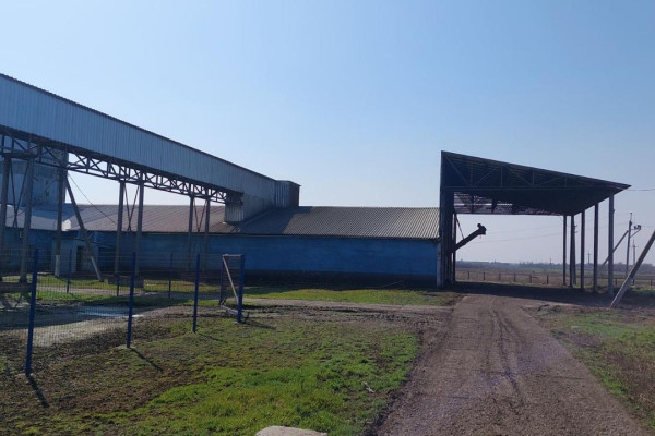 Продаж масложирового комбінату повного циклу 200 т/добу в Дніпропетровській області