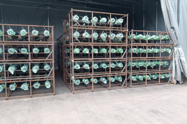 Інвестиції у високотехнологічний пікап для оборони та безпеки