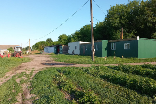 Продаж ягідно-овочевого бізнесу у Київській області