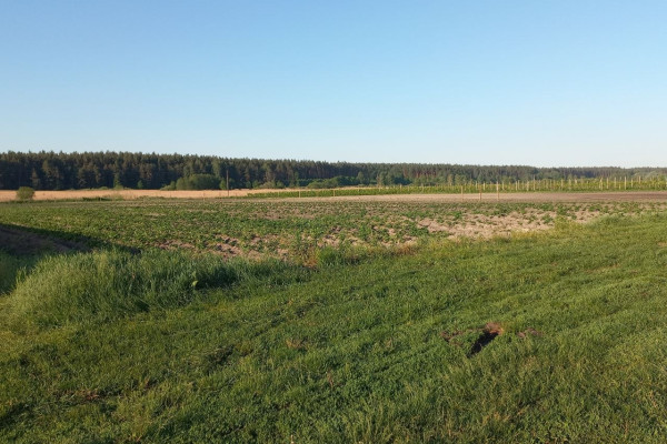 Продаж ягідно-овочевого бізнесу у Київській області