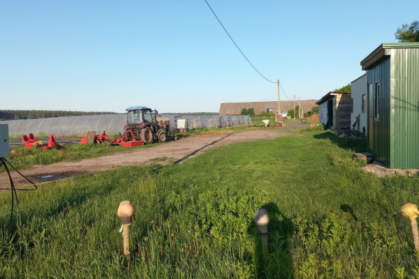 Продаж ягідно-овочевого бізнесу у Київській області