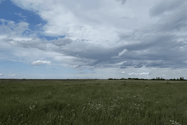 Продаж агрокомпанії 700 га в Житомирській області