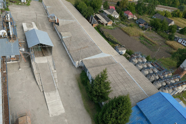 Продаж елеватору 40 000 тонн з олійно-пресовим заводом 280 тонн/добу в Полтавській області