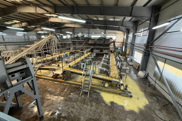 Продаж комплексу із заморозки овочів, фруктів та ягід і холодильником на 5 000 тонн на Черкащині