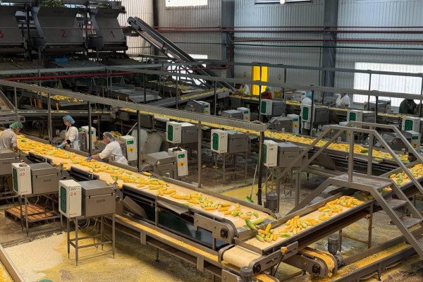 Продаж комплексу із заморозки овочів, фруктів та ягід і холодильником на 5 000 тонн на Черкащині