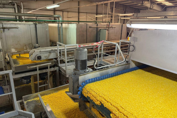 Продаж комплексу із заморозки овочів, фруктів та ягід і холодильником на 5 000 тонн на Черкащині