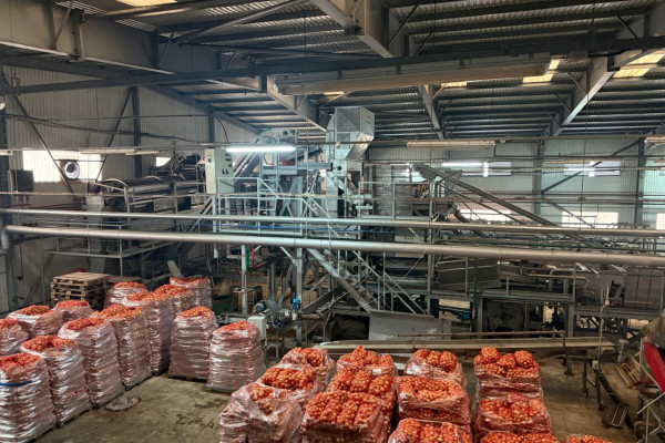 Продаж комплексу із заморозки овочів, фруктів та ягід і холодильником на 5 000 тонн на Черкащині