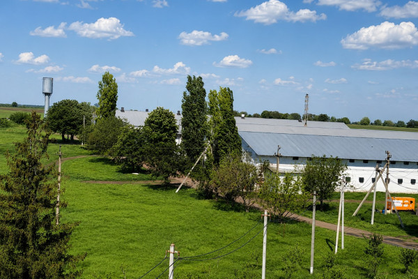 Продажа птицеводческого комплекса полного цикла в Николаевской области
