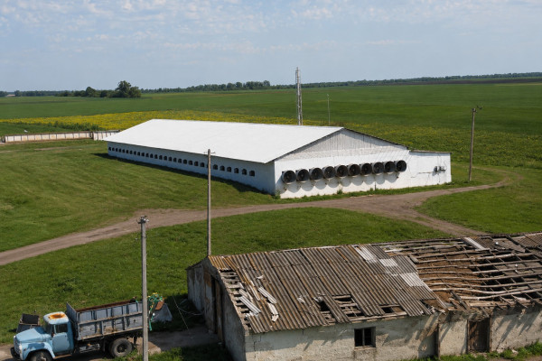 Продажа птицеводческого комплекса полного цикла в Николаевской области