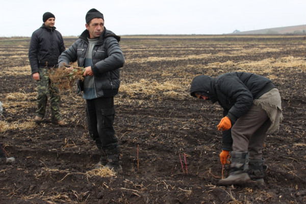 Мрия Агрохолдинг инвестирует в пилотный сельскохозяйственный кооператив «Файна Поляна»