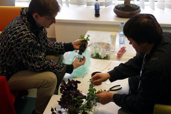 National Ukrainian Hackathon on Agrarian Innovations - technological scenario for the agricultural sector of Ukraine