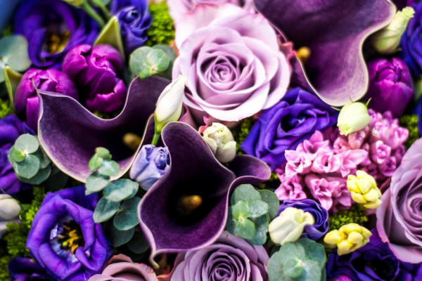 КРИПТОЦВЕТЫ - красивая и надежная инвестиция